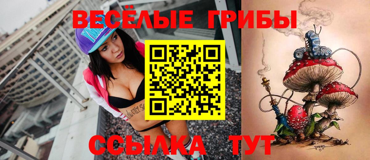 ГАШИШ  Вход с VPN  A-PVP СК кристаллы  Гашиш  МЕФ кристаллы  Асино  КЕТАМИН  КОКАИН  Бошки Шишки 