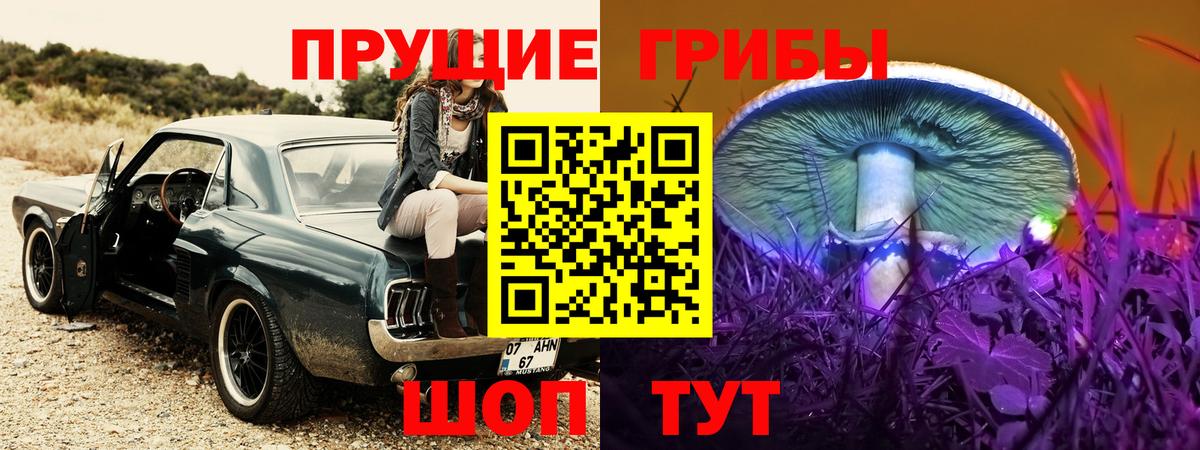 Псилоцибиновые грибы ЛСД Асино